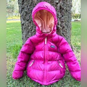 Patagonia 2T Down Jacket